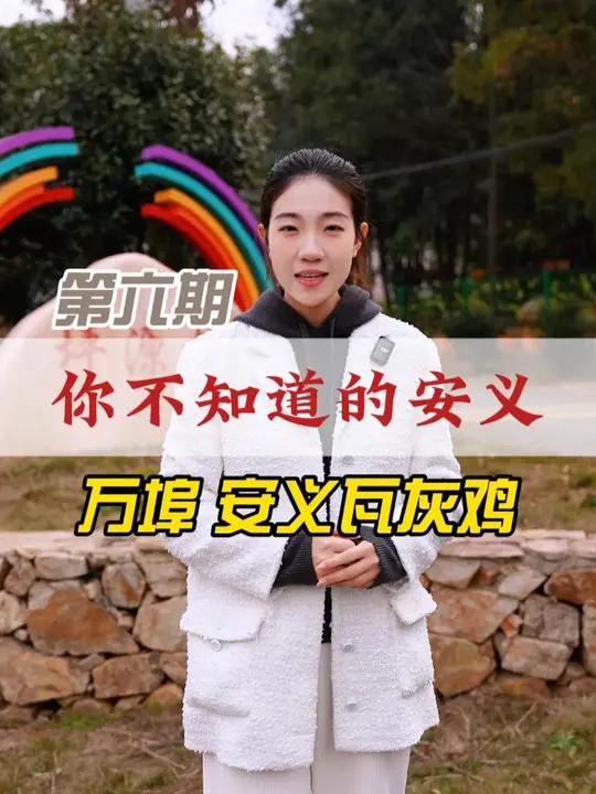 「你不知道的安义」在安义万埠镇,有一家全县最大的安义瓦灰鸡养殖基地,你知道吗