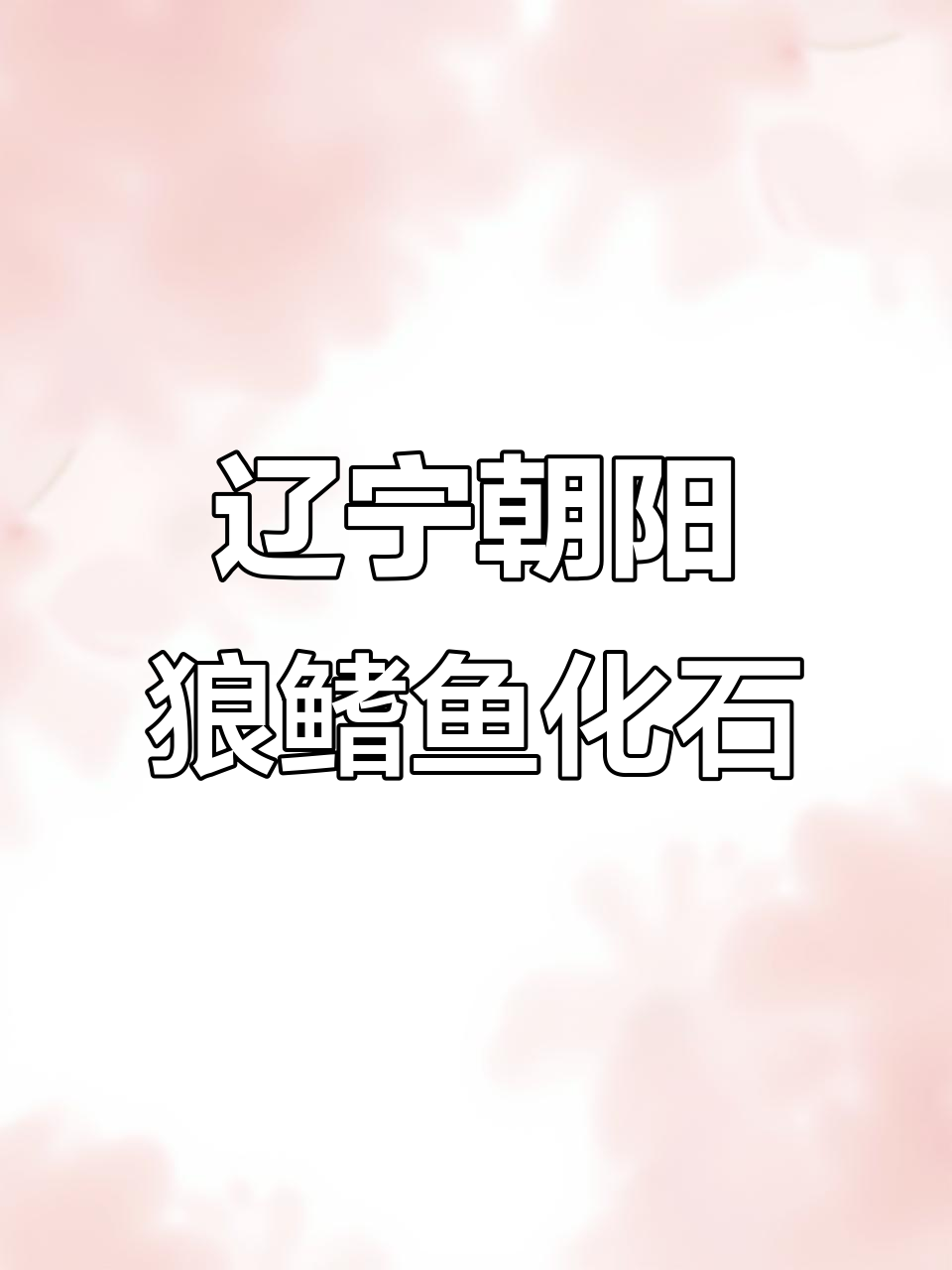 辽宁朝阳商店的狼鳍鱼化石,拼成中国地图的艺术品