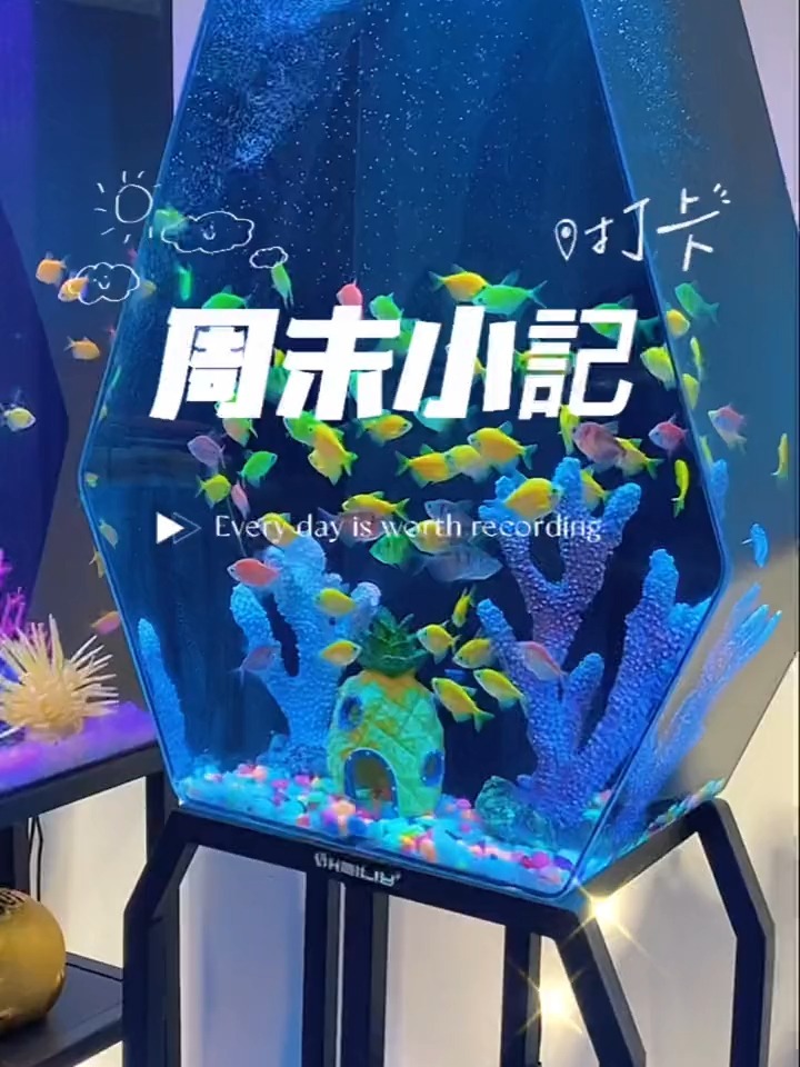 关于自己养的鱼发朋友圈说说养鱼的心情开心
