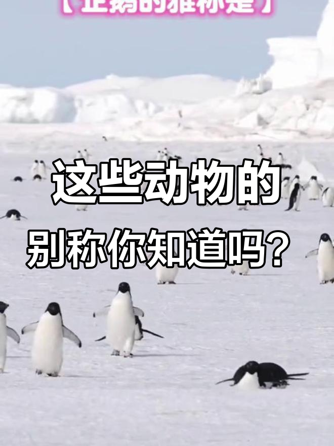 蛇、鲤鱼到乌鸦,这些动物竟然有这么多雅称!