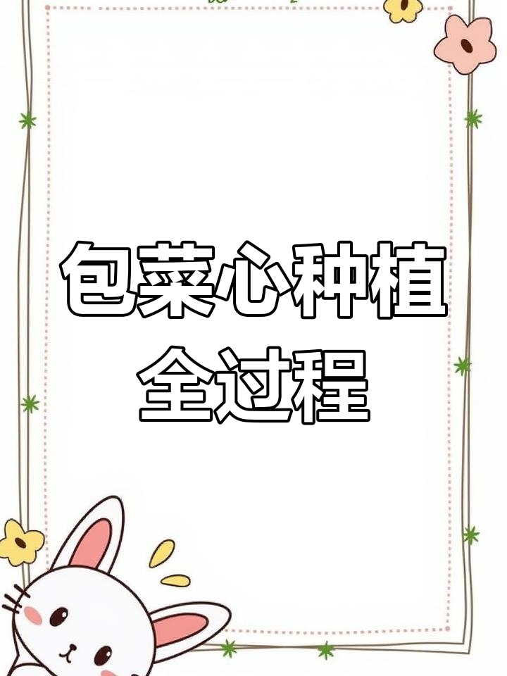 用包菜心种出新的蔬菜,158天见证生长奇迹