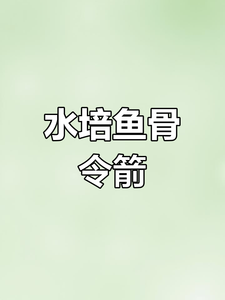如何水培鱼骨令箭?超详细教程,轻松上手!