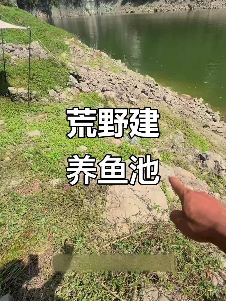 荒野山洞变鱼池,山泉水循环利用打造自然生态