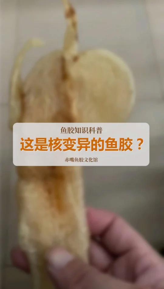 什么原因鱼胶变异了?