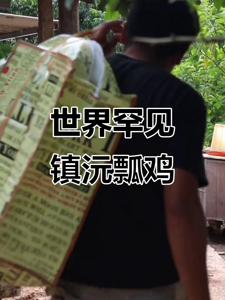 镇沅瓢鸡:稀有家禽,难得一见