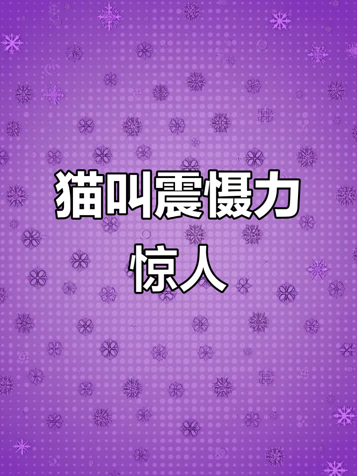 猫叫声吓到老鼠,结果它用生命证明:物理伤害不容忽视