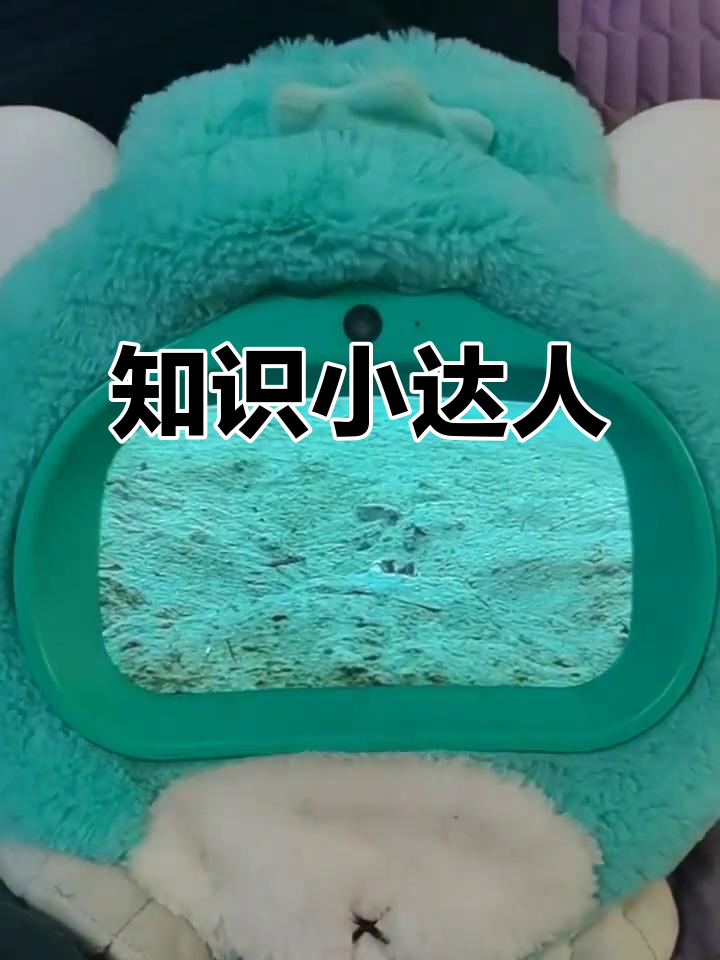 乐乐今天又分享新知识,连英文都讲得溜了!