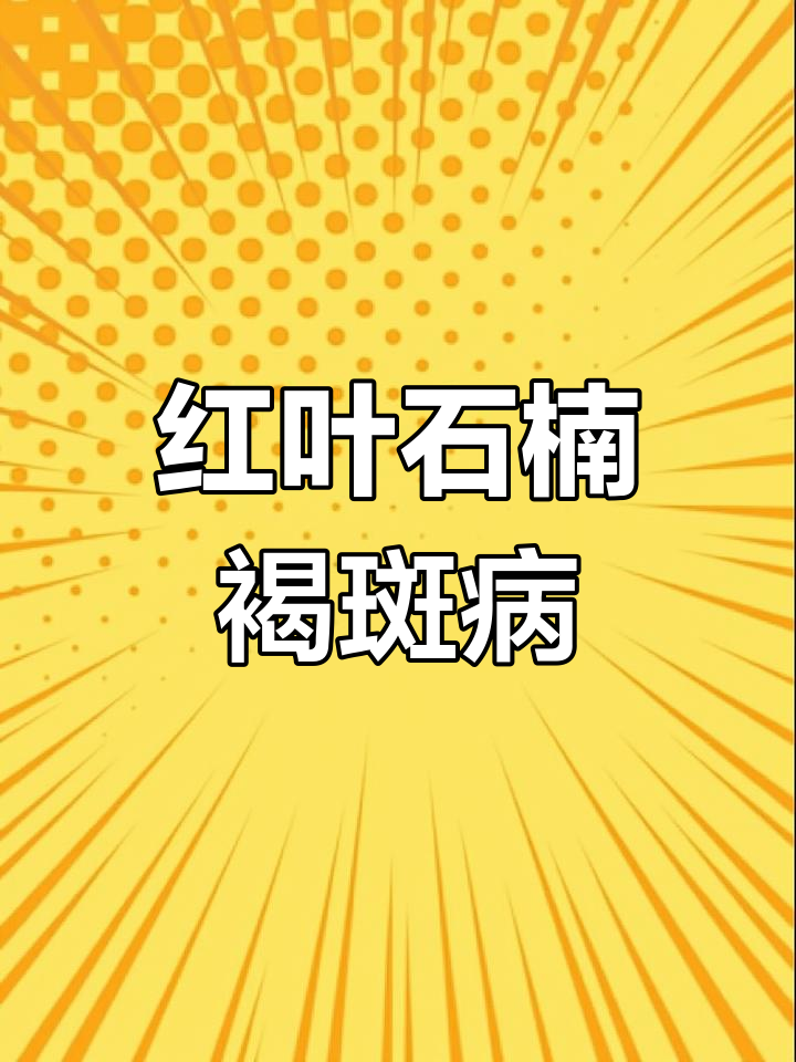 红叶石楠褐斑病防治方法