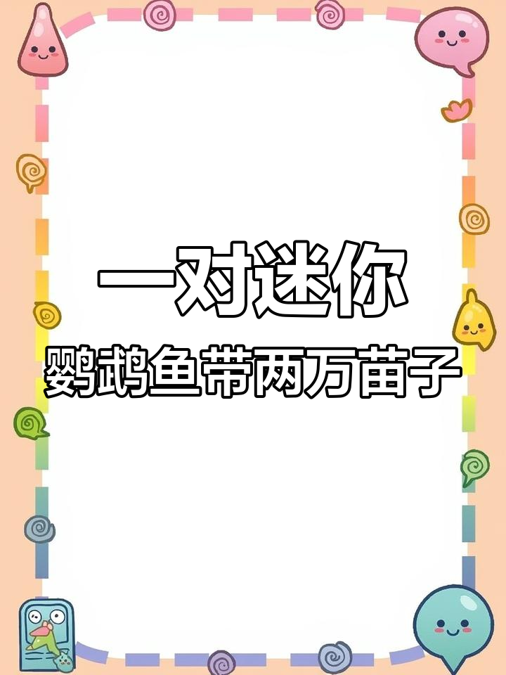 迷你鹦鹉鱼带娃挑战,一对种鱼能照顾几窝?