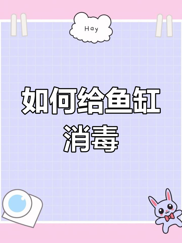 鱼缸消毒的正确方法