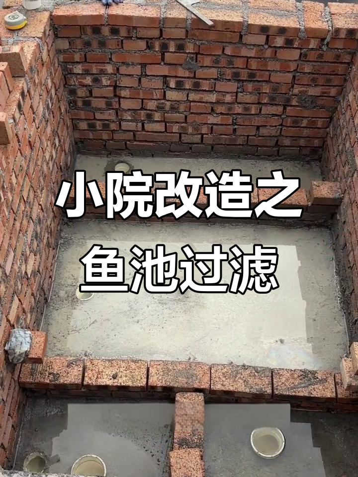 生态鱼池净化舱设计全解析:从清水仓到杀菌灯安装