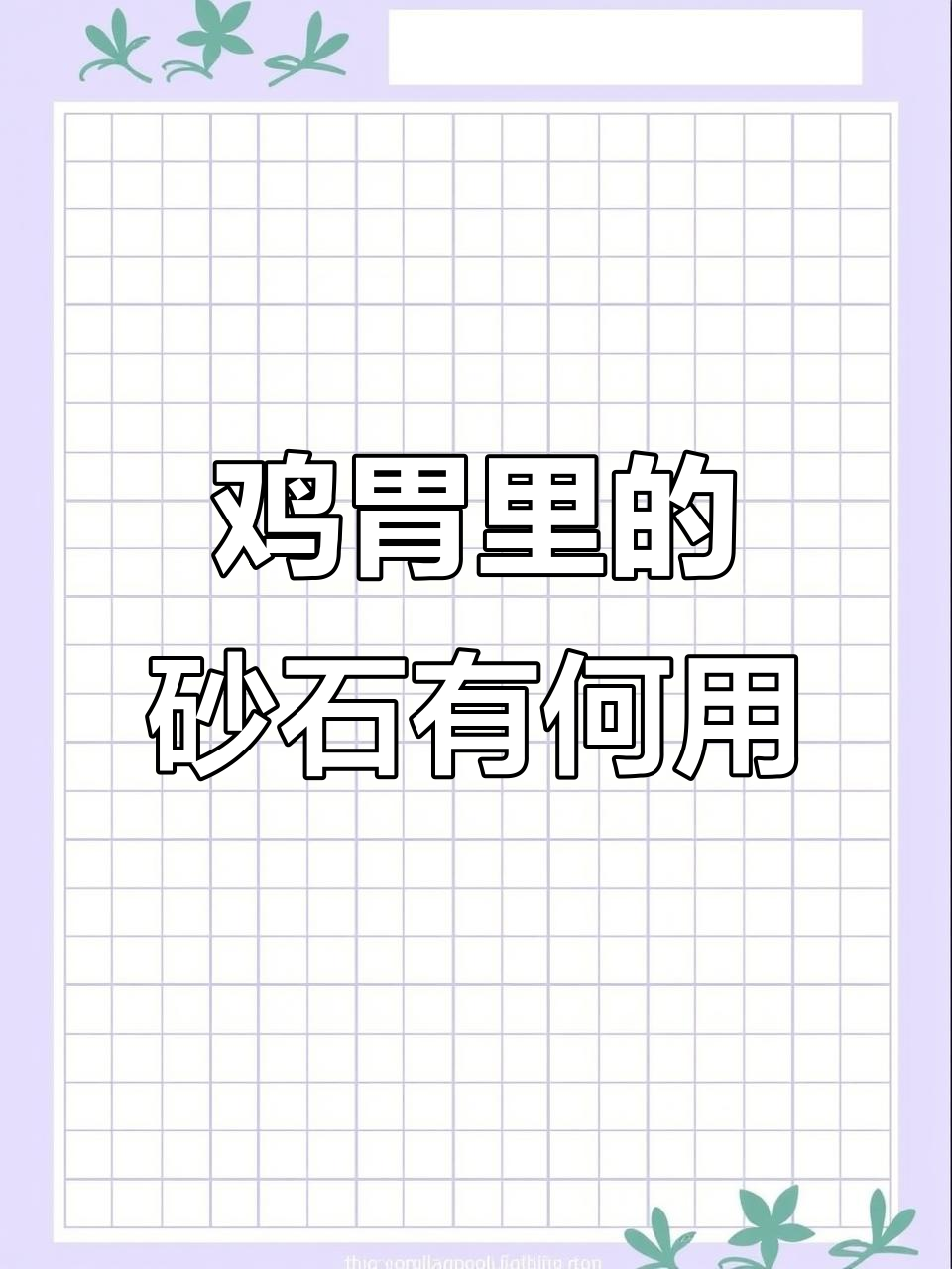 为什么鸡胃里有砂石?了解原因和影响