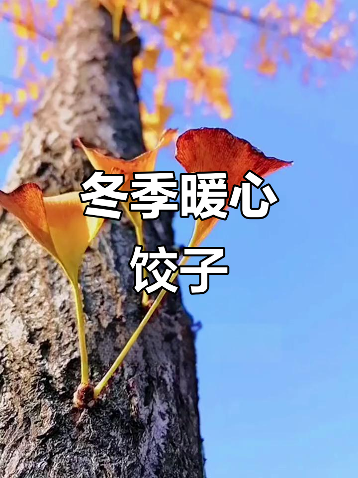 立冬吃饺子,温暖迎接新的一年