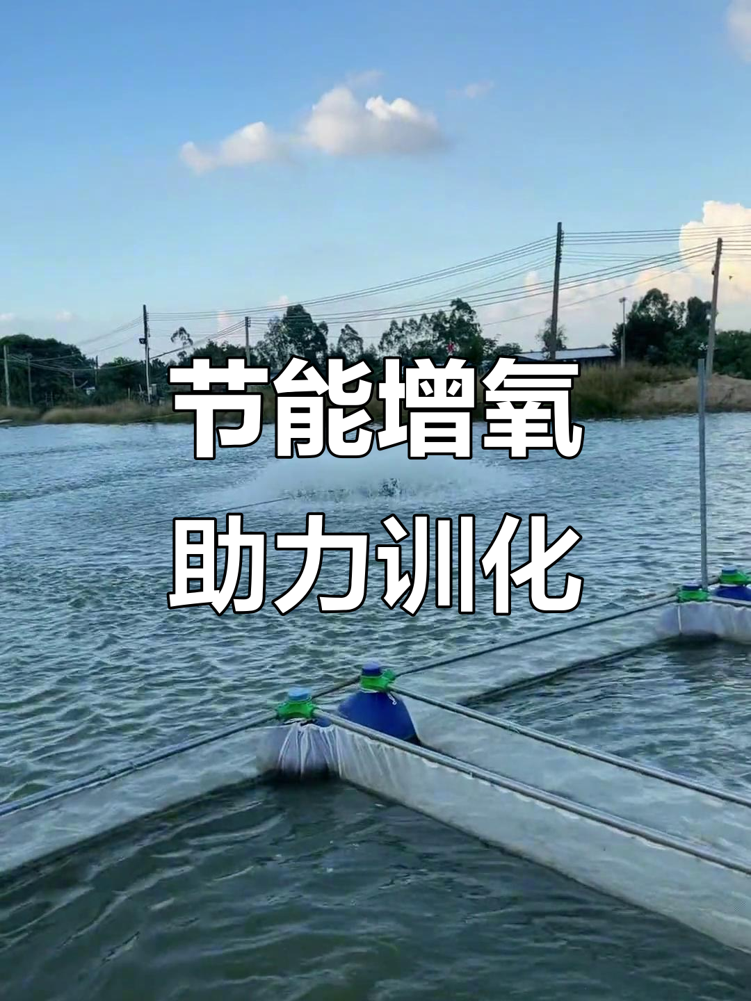 四台增氧机，1千瓦功率助力桂花鱼驯化！