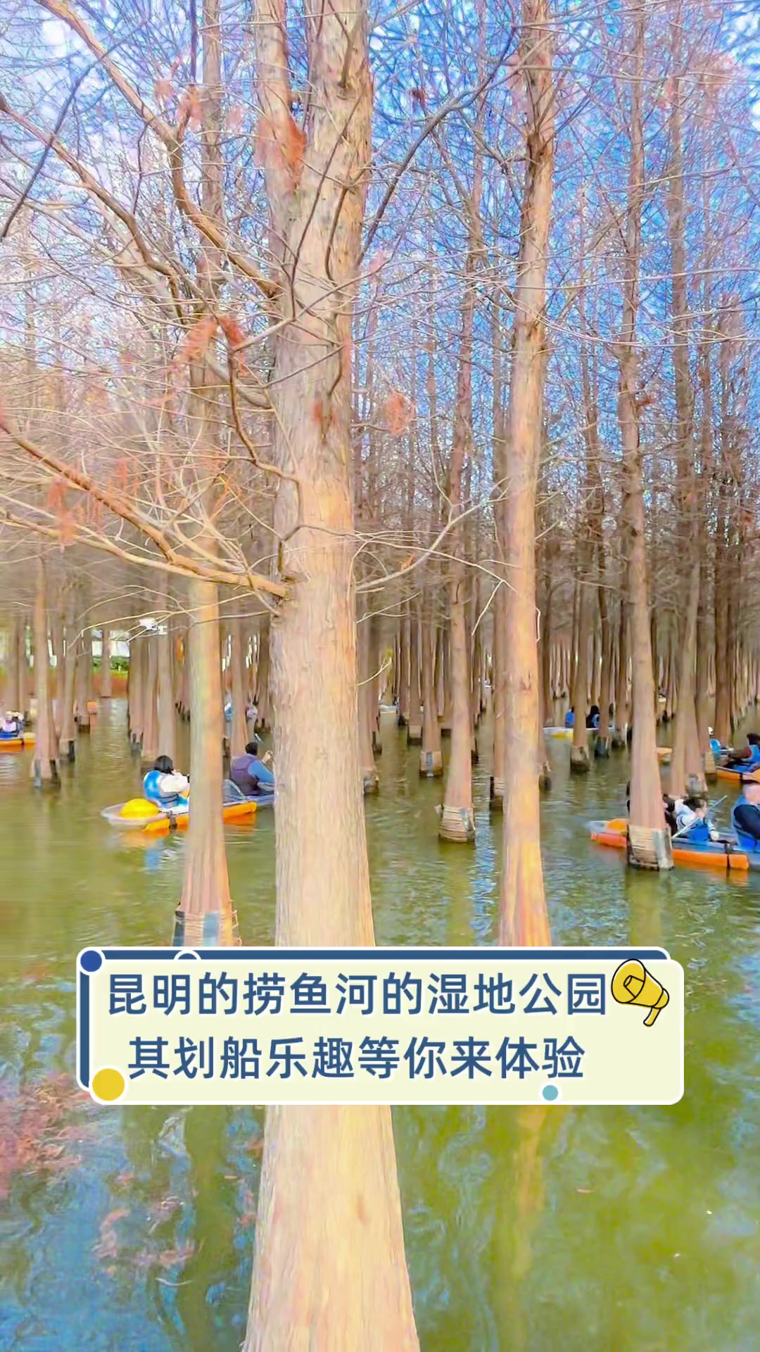 昆明的捞鱼河的湿地公园,其划船乐趣等你来体验