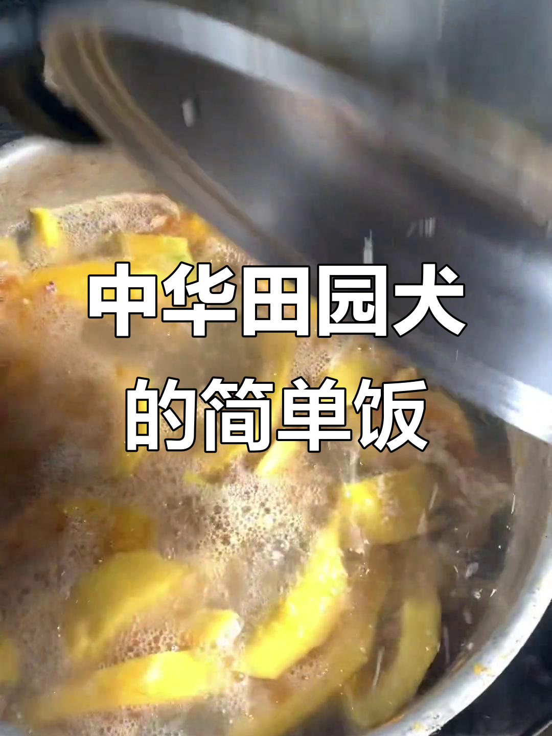 中华田园犬的日常饮食,南瓜鸡肝白米粥营养搭配