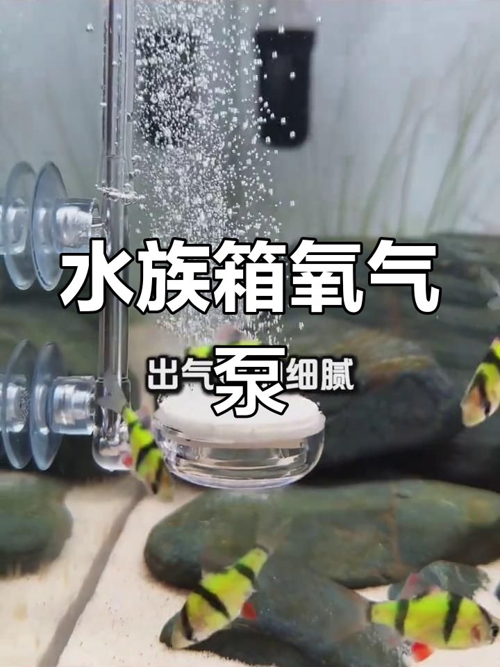 鱼缸增氧机,高效充气设备