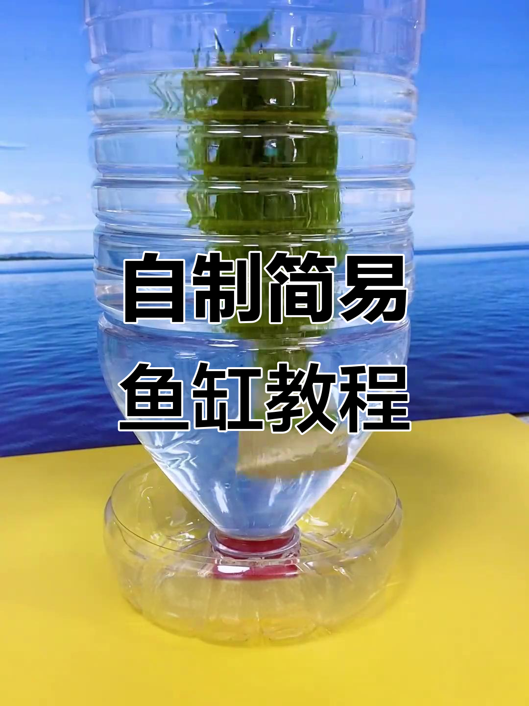 用矿泉水瓶做小鱼缸,简单又实惠