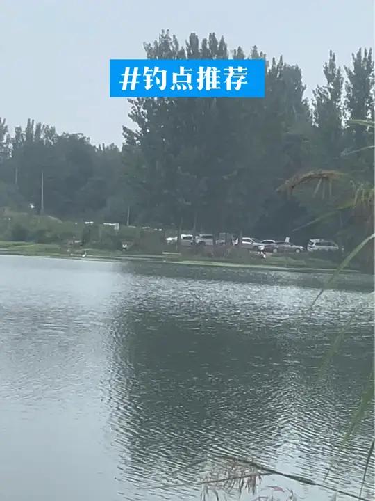 免费钓点 车直接开到河边。野钓好去处 钓点推荐 钓鱼人