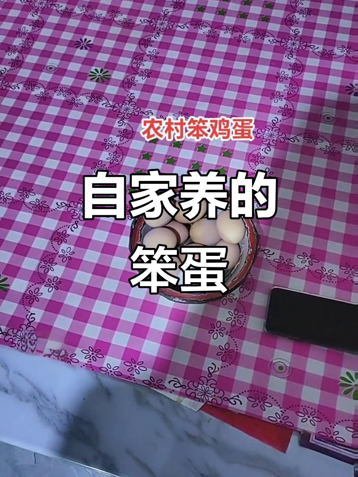 农家散养笨鸡蛋,绿色无饲料,营养满满超好吃