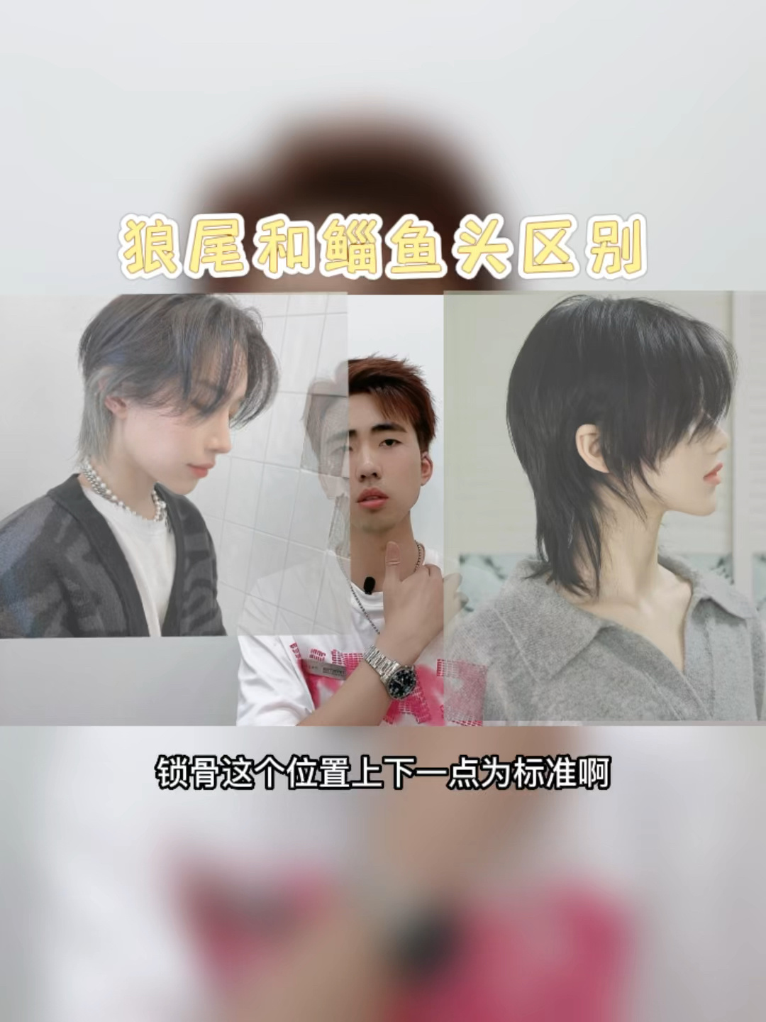 不想翻车看完狼尾和鲻鱼头的区别