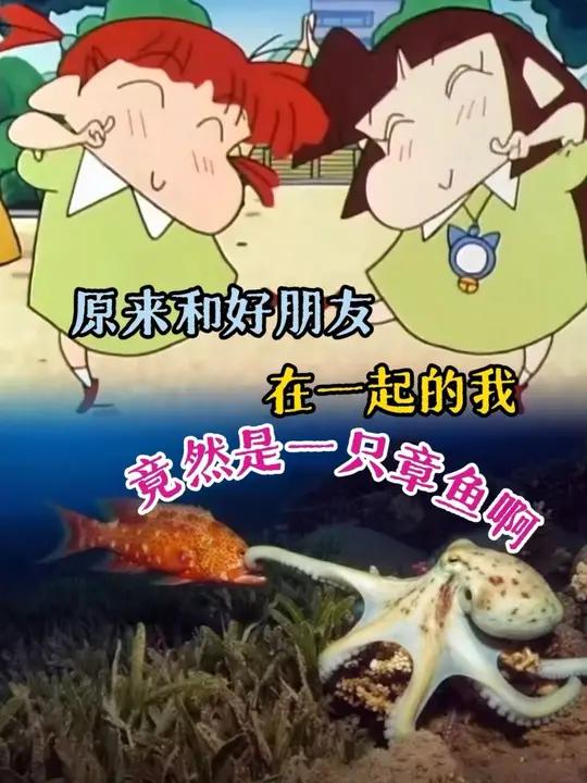 闺蜜!吃我一锤!#雷霆魔鬼鱼 #章鱼