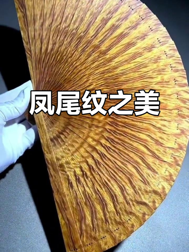 金丝楠木的凤尾纹，如凤凰展翅，自然优雅，令人陶醉