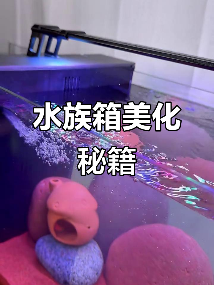 鱼缸造景全搞定，轻松打造水族箱美景！