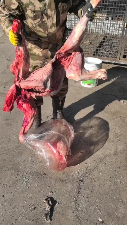 大型撕碎绞肉机