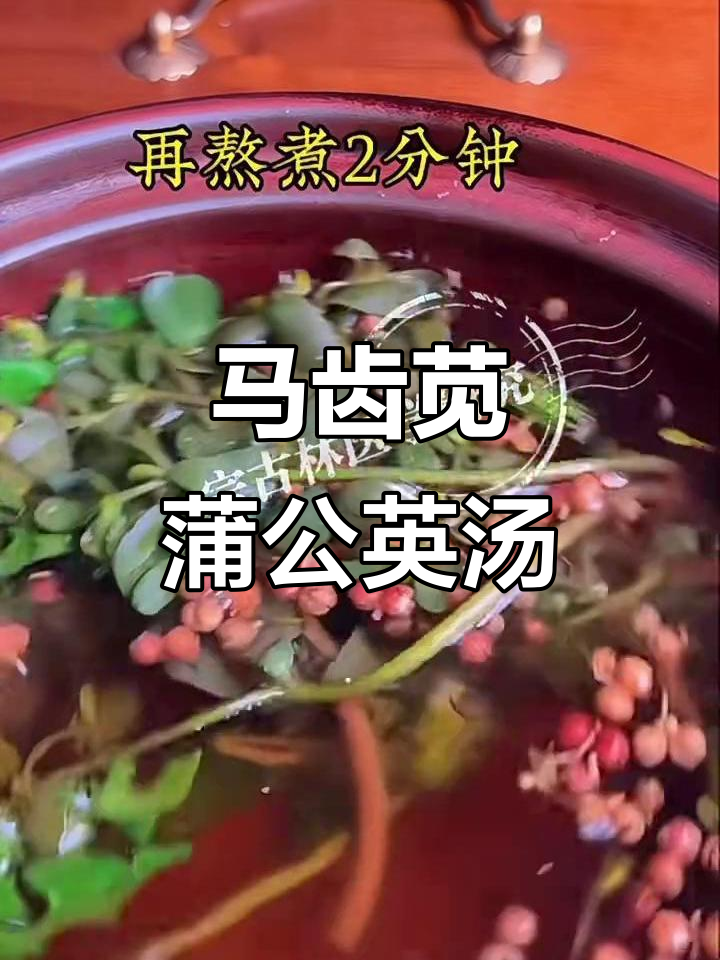 农村老奶奶的土方法:马齿苋与蒲公英碰撞,竟能这样治病!