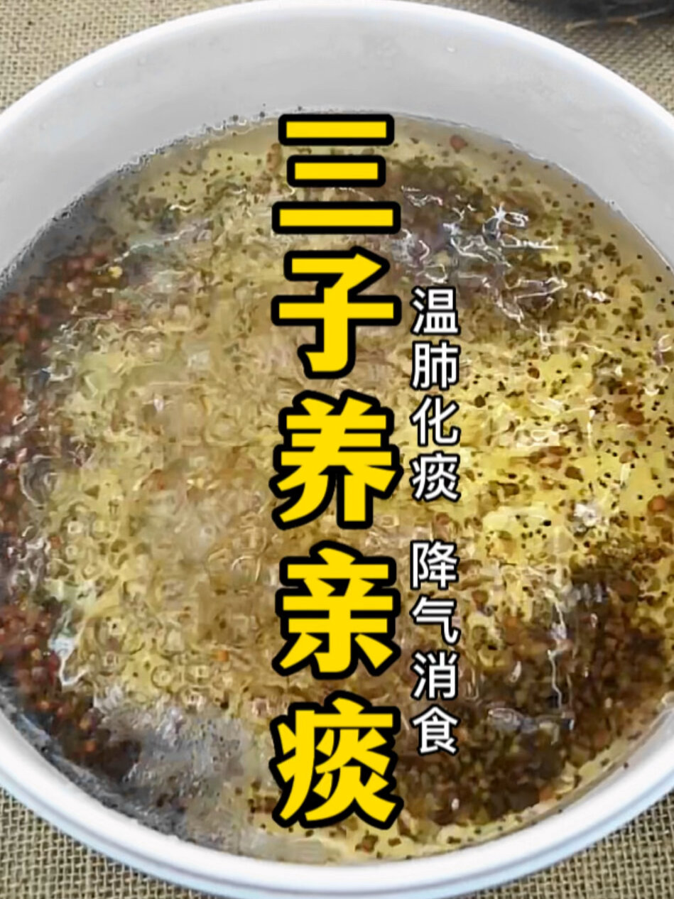 三子养亲汤 -化痰止咳小食方