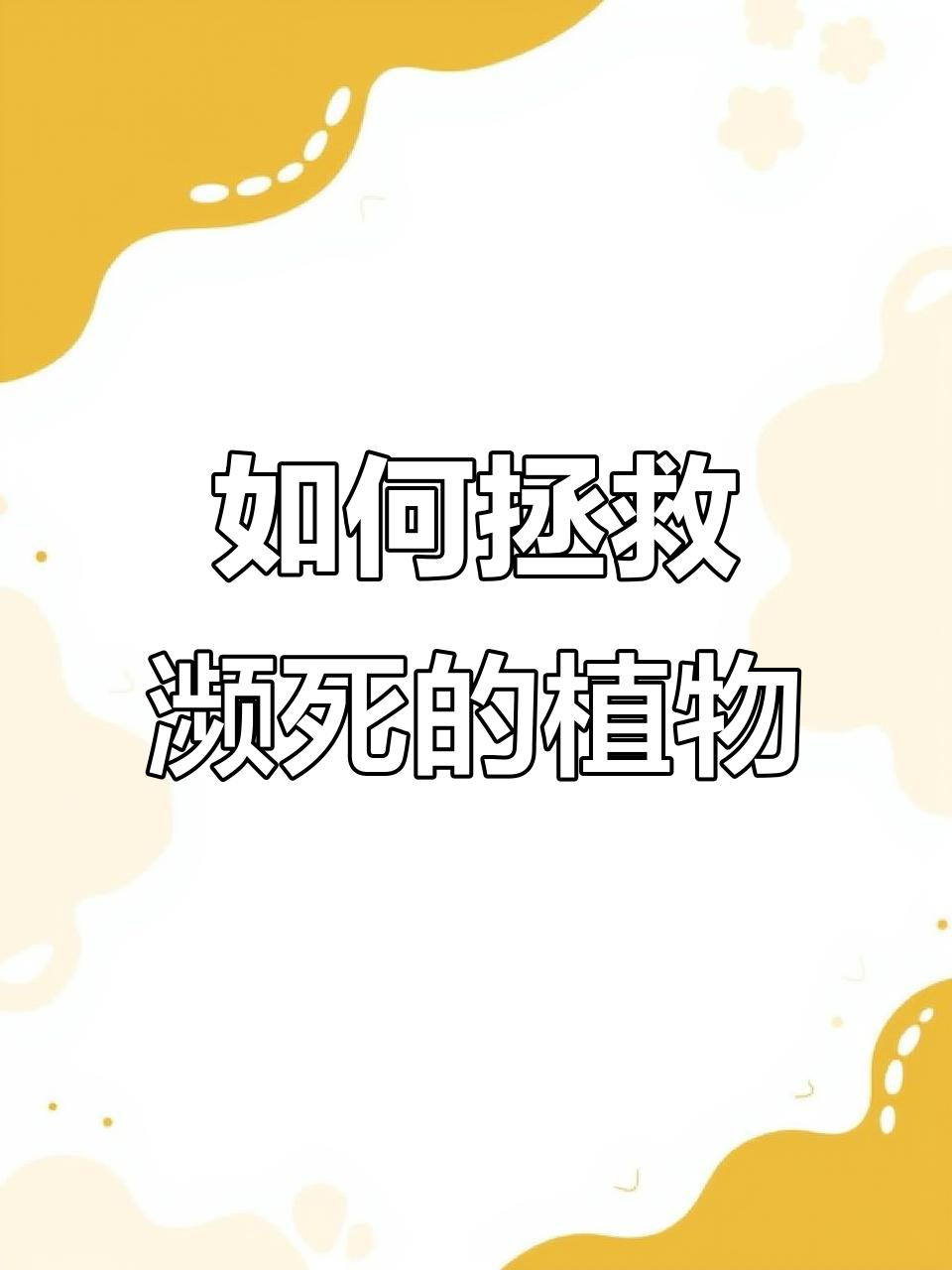 植物枯萎怎么办?教你几招让它重生