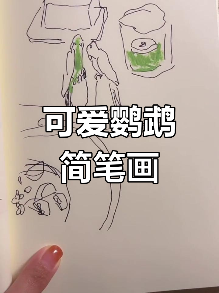 餐桌上的鹦鹉对话,简笔画教程