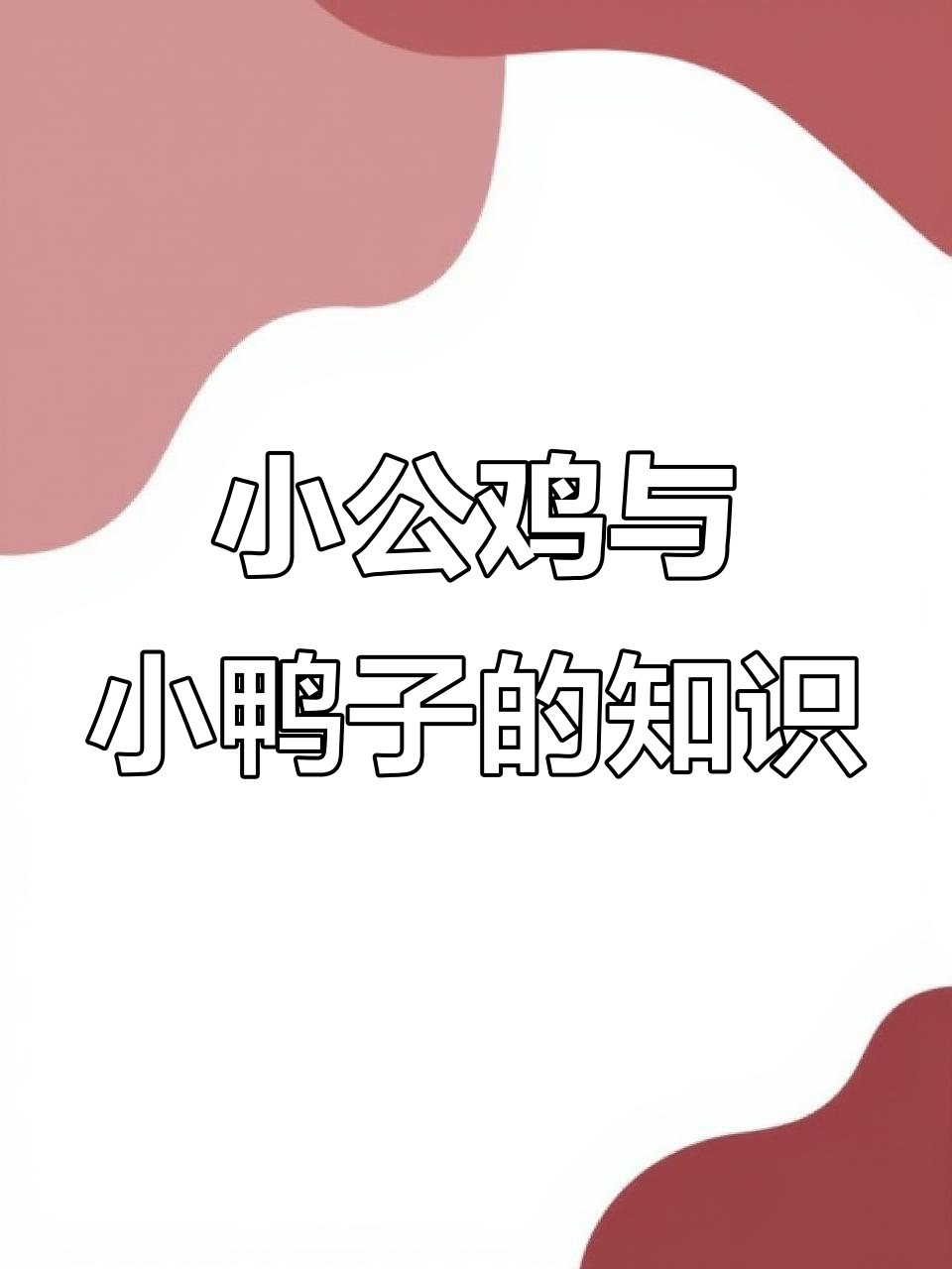 一年级下册语文《小公鸡和小鸭子》知识点速记,寒假复习必备