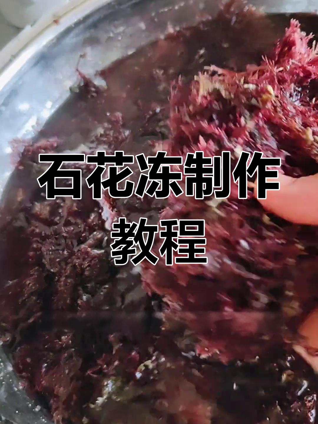 轻松做石花冻,步骤全解析!