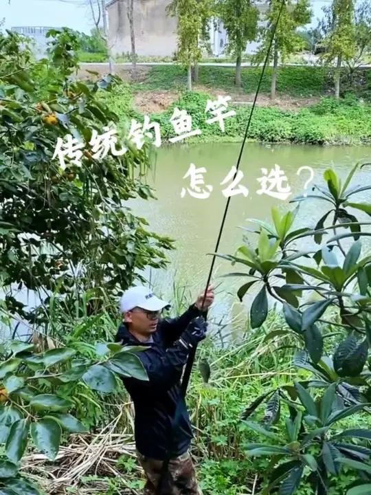 传统钓鱼竿怎么选?除去轻挺硬,最后一点更重要