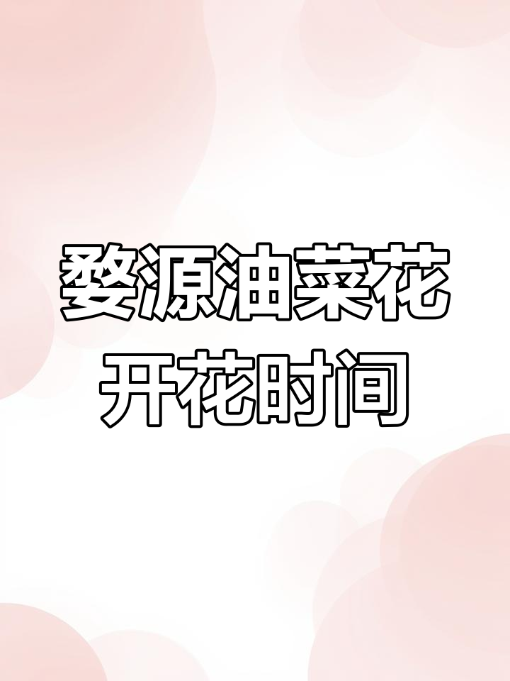 2024婺源油菜花花期全攻略,平原盛花期不容错过