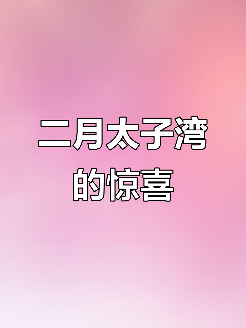 杭州太子湾郁金香提前绽放,二月已见零星花朵