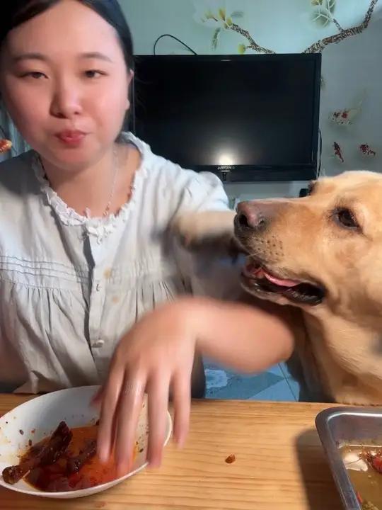 啃个鸡爪我手臂都能练出肌肉#拉布拉多