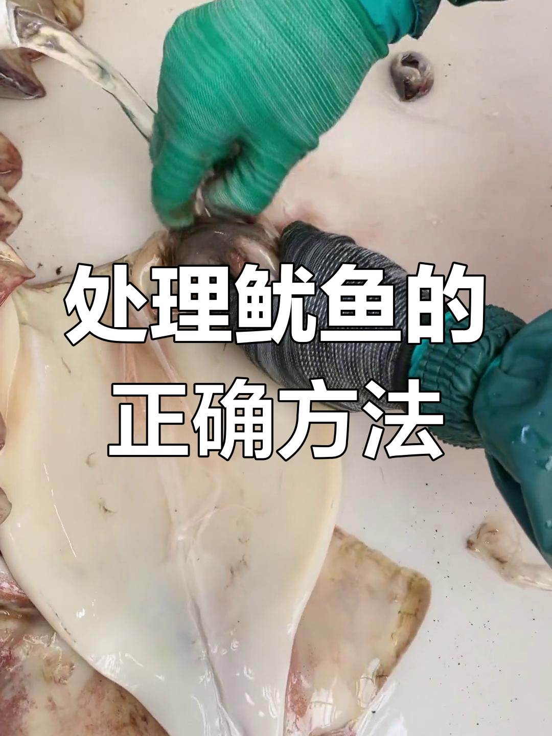 鱿鱼处理全攻略,去除不能吃部分