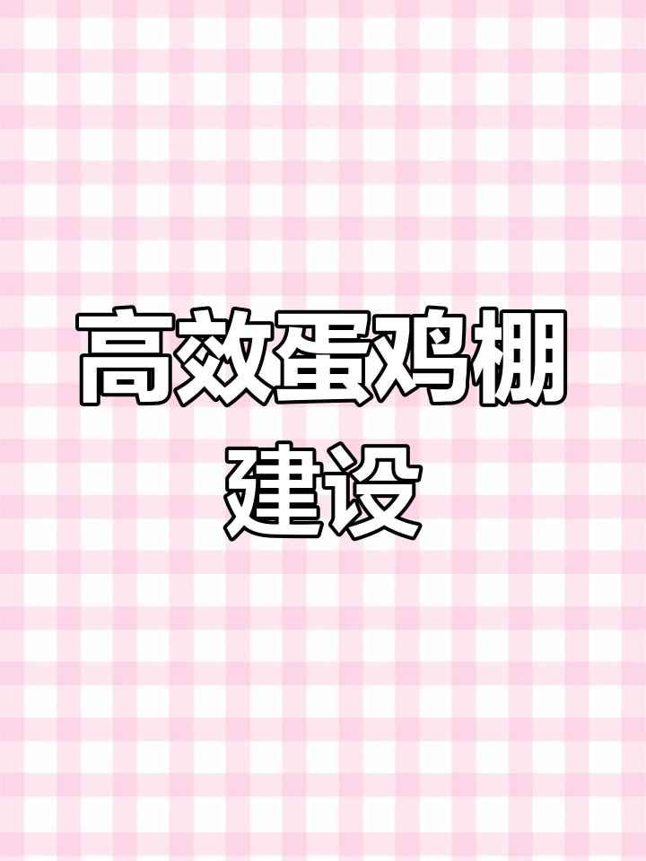 蛋鸡养殖大棚设计解析,合理结构提升产量