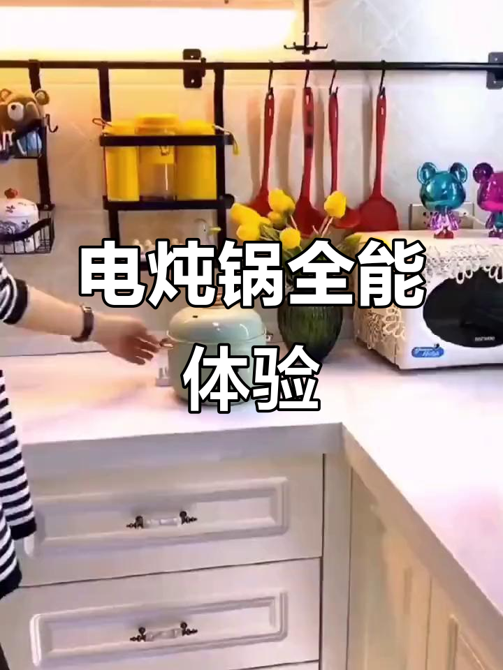 紫砂电炖锅,煲汤煮粥一锅搞定,保留原汁原味