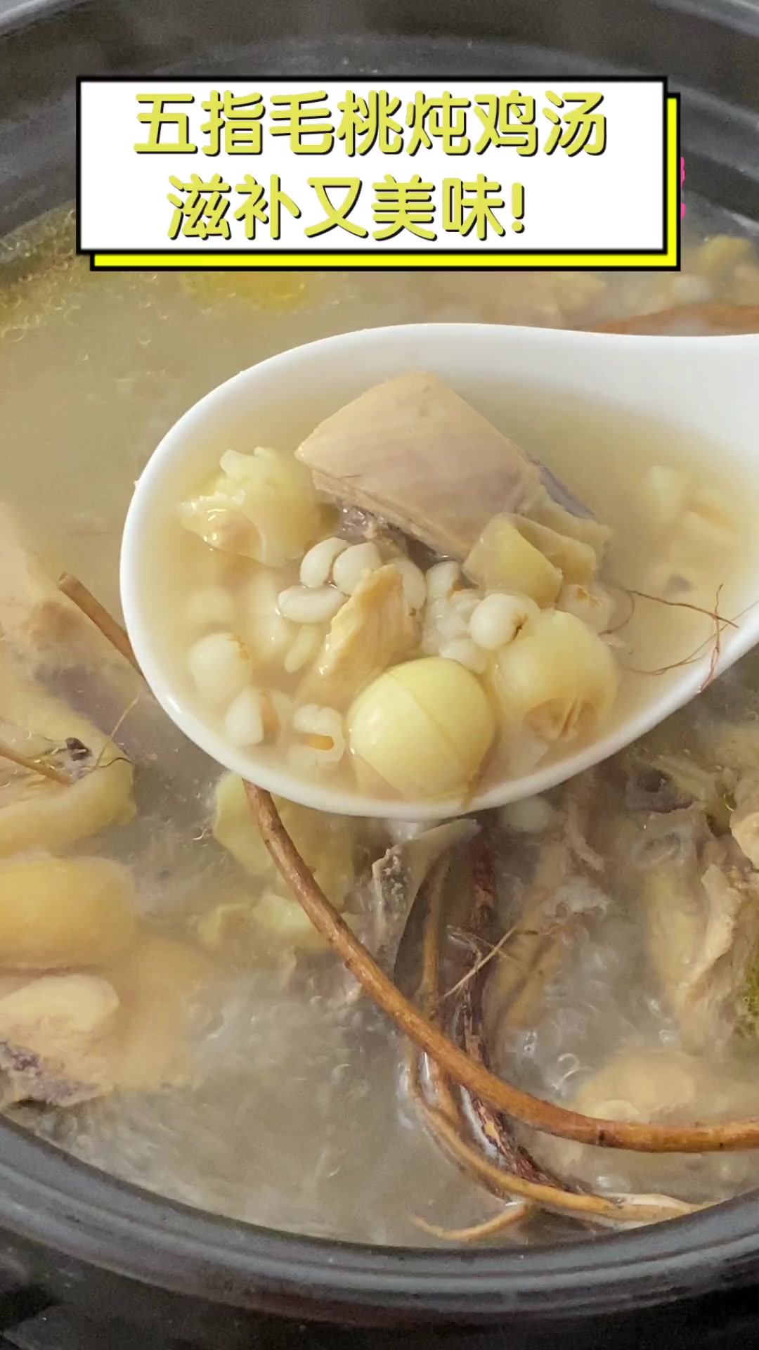 五指毛桃炖鸡汤,滋补又美味!