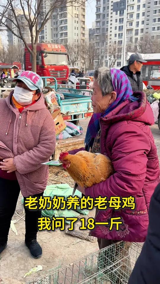 老奶奶养的老母鸡18一斤贵不贵呢