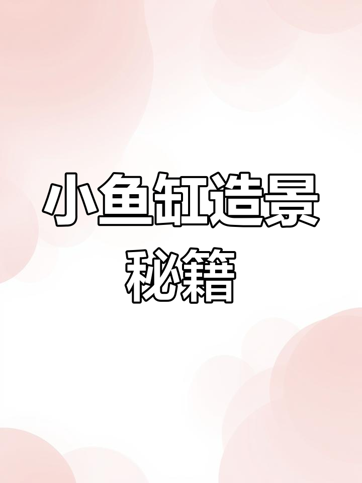 小鱼缸造景,轻松打造美观水族箱,所有材料清单全在这!