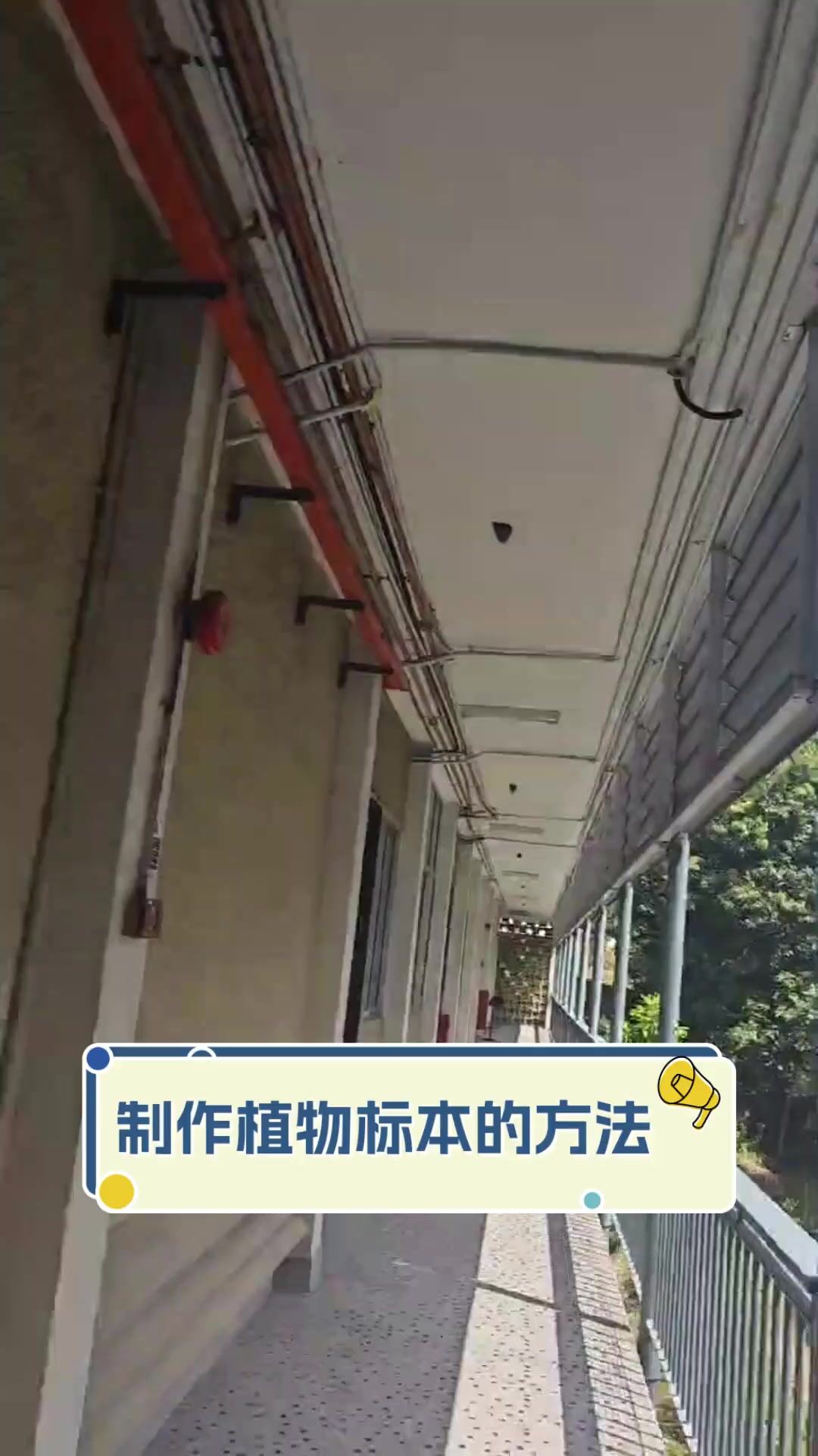 制作植物标本的方法