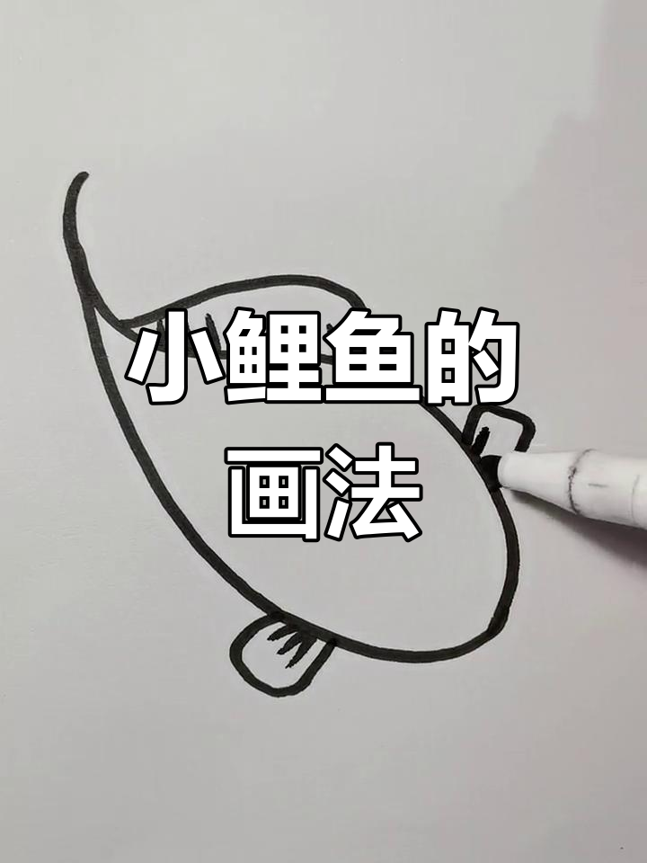 简单步骤画出鲤鱼