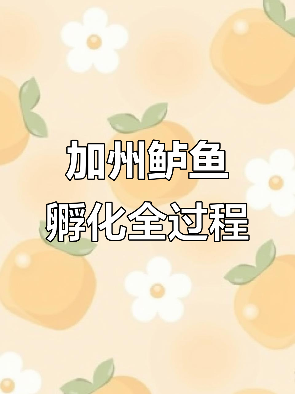 揭秘加州鲈鱼孵化过程：从卵到水花，再到小苗的成长