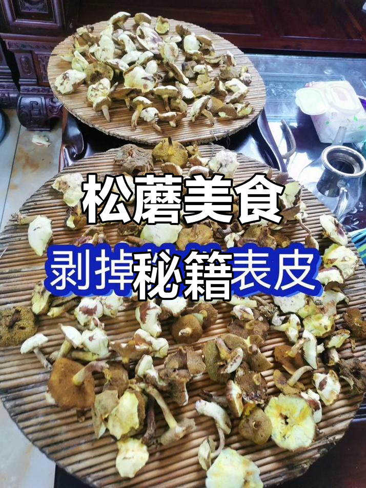 崂山松蘑炖肉,香气扑鼻,搭配地瓜叶更美味!