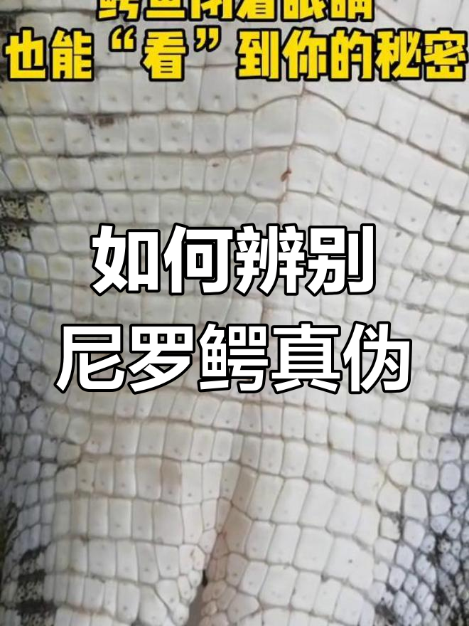 尼罗鳄鱼皮真假难辨?教你识别叫声波传感器的秘密